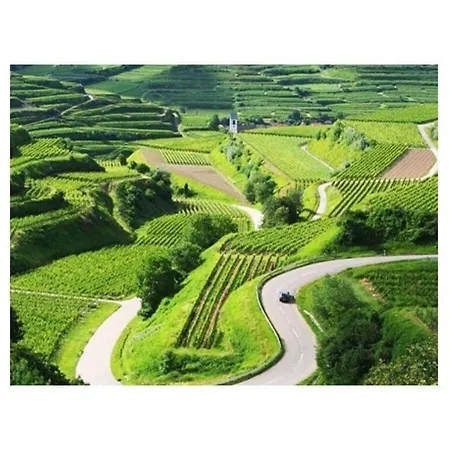 Savoir Vivre Modern Retreat