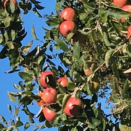 Savoir Vivre Modern Retreat 度假居 恩丁根