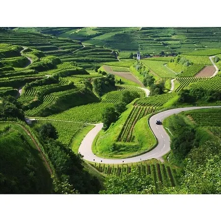 Savoir Vivre Modern Retreat * 恩丁根