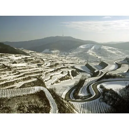 Savoir Vivre Modern Retreat *