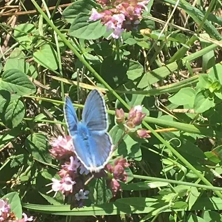 度假居 Savoir Vivre Modern Retreat