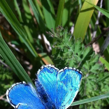 Savoir Vivre Modern Retreat 度假居 *