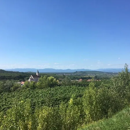 Savoir Vivre Modern Retreat * 恩丁根